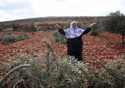 السفير الفلسطيني: لدينا إصرار للتوجه للجنائية الدولية في ظل التعنت الإسرائيلي
