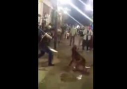 القبض على المتهمين فى واقعة تعذيب «كلب» بشبرا الخيمة