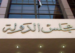 القضاء الإدارى يلزام الدولة بالقيد التلقائى للناخبين بمحل إقامتهم