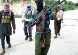 نيجيريا تؤجل انتخابات 14 فبراير وسط أعمال عنف لبوكو حرام