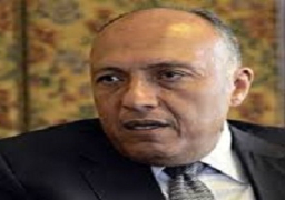 شكري يستقبل وفد المركز البحثي الأمريكي