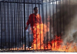 على جمعة: حرق “داعش” للطيار الأردنى “فوتوشوب” وليس حقيقيا