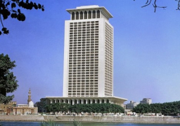 مصر تدين جريمة إعدام الرهينة الياباني