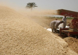 هيئة السلع التموينية: لا تغيير في مواصفات القمح بمناقصة عالمية