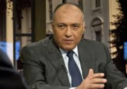 “شكري” لصحفية تركية: الشرعية ما هي إلا إرادة الشعب