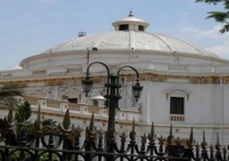 “صحوة مصر” و”في حب مصر” قائمتان تستعدان للبرلمان