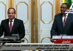 السيسي: اتفقت مع ديسالين على تعاون في مجالات مكافحة الإرهاب ورفع مستوى التعاون الاقتصادي