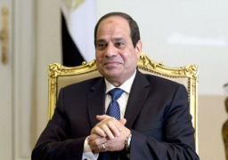 «السيسي» يوجه الحكومة بدراسة تأجيل تطبيق كروت البنزين