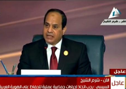 السيسي يدعو لقوة عربية مشتركة لصد أي عدوان أو تدخل في شئون الدول العربية