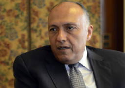 وزير الخارجية سامح شكرى يلتقي وفدًا من المعارضة السورية