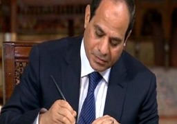 قرار جمهوري بتشكيل المجلس التخصصي للتنمية الاقتصادية