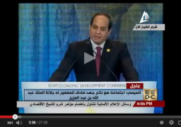 فيديو ونص :كلمة الرئيس عبد الفتاح السيسي بافتتاح مؤتمر دعم وتنمية الاقتصاد المصري