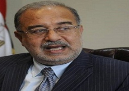 “البترول”: ضخ 43 ألف طن سولار بالأسواق فى أعلى معدل بتاريخ مصر