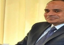 السيسي يلتقي أعضاء «المجلس التخصصي للتنمية الاقتصادية»