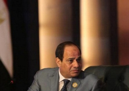 السيسي يلتقي اليوم وزير الموارد المائية والري