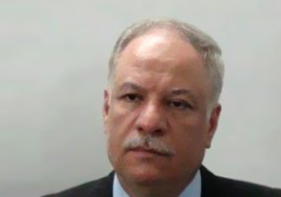 النائب العام يحيل محافظ الشرقية الأسبق للمحاكمة للتظاهر ضد النظام