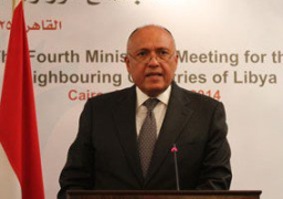 شكري: ترشح مصر لمجلس الامن حرصا علي مواصلة جهودها لصون السلم والأمن الدوليين