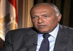 شكري يجري مباحثات رسمية مع نظيره البولندي ووزير الدفاع البولندي