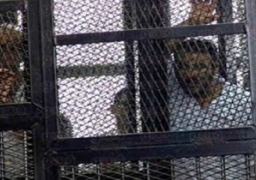 اليوم.. سماع مرافعة الدفاع في محاكمة 73 إخوانيًا بحرق كنيسة كفر حكيم بكرداسة