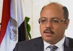 وزير المالية: 292.3 مليار جنيه حصيلة الضرائب خلال العام المالى الماضى