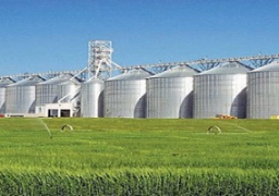 “حنفي”: إنشاء 10 صوامع أفقية بتكلفة 16.5مليون دولار لتخزين القمح