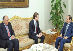 السيسي في لقائة بوزير خارجية النمسا.. :”حقوق الإنسان” لا تقتصر على الحريات
