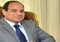 السيسى يبحث غدا مع مستشار الدولة الصينى التعاون المشترك