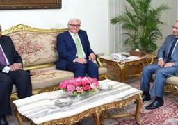 السيسي يبحث مع وزير خارجية ألمانيا سبل تعزيز العلاقات بين البلدين