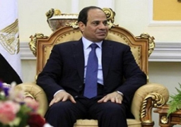 السيسي يستقبل اليوم وزير خارجية ألمانيا ووفدًا من الكونجرس الأمريكي