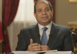 السيسي يصدر قرارًا جمهوريًا بشأن تمويل استيراد سلع أساسية