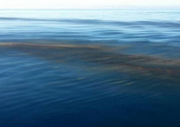 “العامة للبترول”: لايوجد تلوث زيتى بساحل رأس غارب