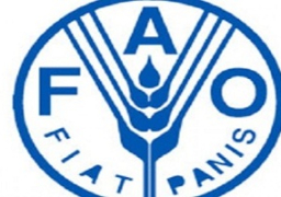 الفاو تحذر من أزمة غذائية تواجه قرابة 5 ملايين نسمة فى جنوب السودان