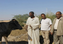 اليوم..بدء مبادرة الرئاسة لتوزيع رؤوس الماشية على الأسر الأكثر احتياجاً