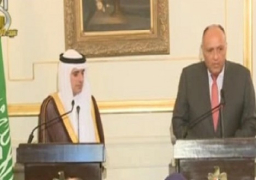وزير الخارجية يستقبل اليوم نظيره السعودى لبحث عدد من القضايا المشتركة