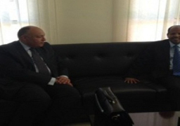 شكري يبحث مع نظيره الجيبوتي العلاقات الثنائية والأوضاع في أفريقيا