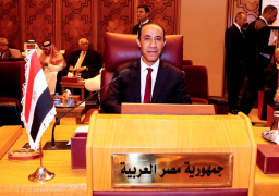 عصام الأمير يرأس اجتماعات مجلس وزراء الإعلام العرب