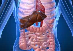 صحتنا في صيامنا