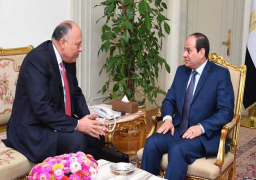 شكرى يطلع الرئيس على نتائج “لجنة الملف الفلسطيني