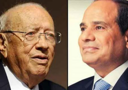 السيسى يعزى نظيره التونسى فى ضحايا الهجوم الارهابي بمدينة بنقردان