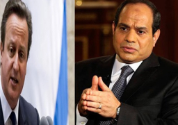 السيسي يتلقى اتصالا هاتفيًا من رئيس وزراء بريطانيا للتشاور بشأن العديد من القضايا الإقليمية والدولية
