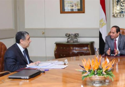 السيسي يجتمع بـ وزير الكهرباء والطاقة المتجددة
