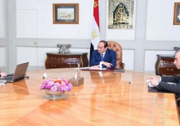 السيسي يجتمع بوزيرة الدولة للسكان ويوجه بسرعة إنشاء صندوق الطفل