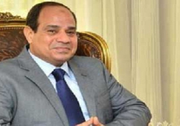 السيسي يعرب لولي عهد أبو ظبي عن ترحيب مصر بالاستثمارات العربية والإماراتية