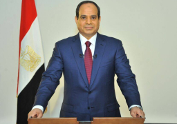 أصدر السيسى…. قانون تنظيم الكهرباء