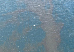 سحب عينات من رأس غارب بالبحر الأحمر لمعرفة أسباب تسرب بقعة زيت