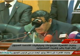 جنايات القاهرة تعلن حيثيات الحكم في قضية وادي النطرون