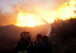 حريق هائل بمصنع كيماويات في ديمونة بإسرائيل