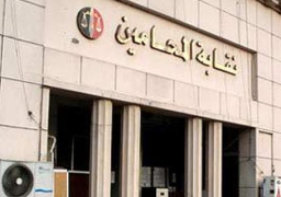 “حقوق الإنسان”: أصبح للمحامين درع وسيف لصد أي هجوم على العدالة وكرامة القضاء الواقف