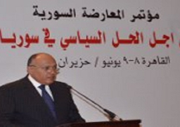 شكرى: المجتمع الدولى لم ينجح فى التوافق حول صيغة تنفيذية للتسوية بسوريا