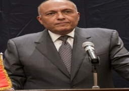 شكري لقناة جنوب أفريقية: عليكم الثقة فى القضاء المصرى كما نحترم قضاءكم